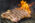 t bone steak